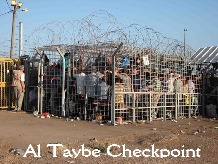 al-taybe-cage3
