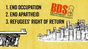 BDS Demands1